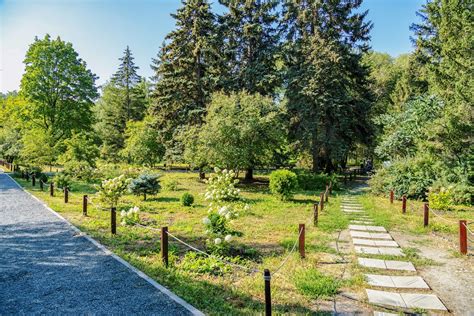 Ботанический сад СГУ: уникальная природа в центре города