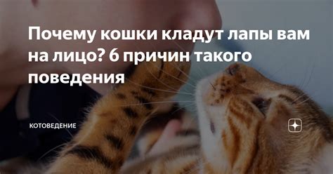 Будьте в курсе причин такого поведения сестры