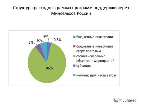 Бюджетные программы и государственная поддержка