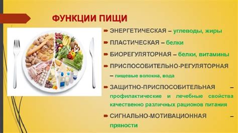 Важность белков, жиров и углеводов в качестве питательных компонентов для организма