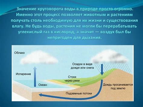 Важность воды в формировании рельефа