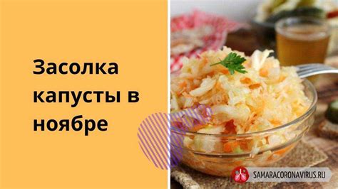 Важность выбора оптимального времени для соления капусты