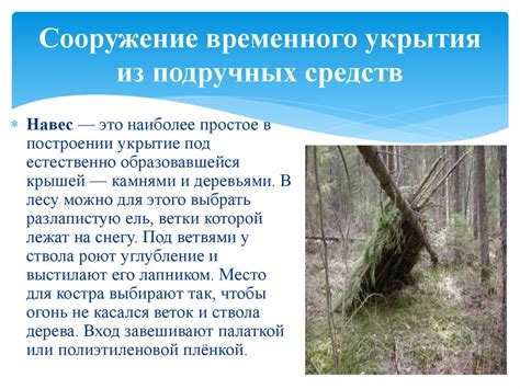 Важность изучения и сохранения уникального биотопа Сныйта в природной среде