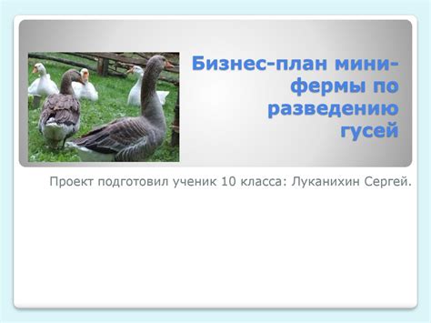 Важность качества пастбищ при выборе местонахождения фермы по разведению оленей с великолепной окраской рогов