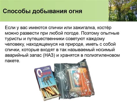 Важность киви в окружающей нас природной среде