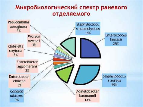 Важность корректной трактовки результатов микробиологического исследования
