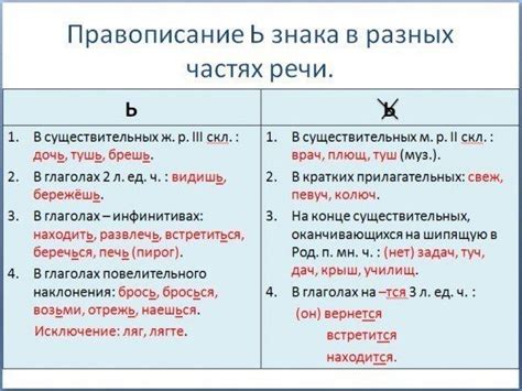 Важность мягкого знака в определении рода и падежа слова "товарищ"