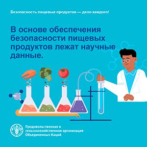 Важность обеспечения безопасности пищевых продуктов в современной эпохе