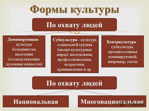 Важность обучения обществознанию для формирования общей культуры и понимания социальных явлений