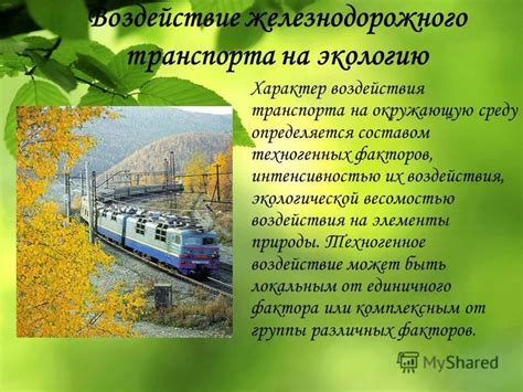 Важность общественного транспорта и велосипедов в уменьшении негативного воздействия на окружающую среду