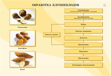 Важность оперативной реакции на появление пятен от продуктов приготовления пищи на одежде