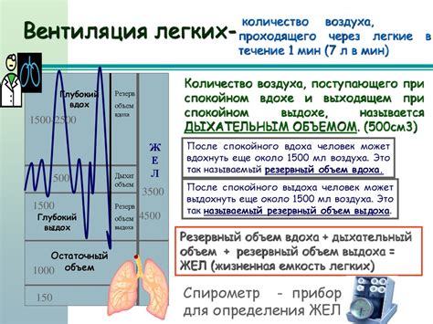 Важность определения жизненной емкости легких и основные задачи