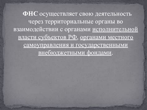 Важность понимания роли кода ФНС во взаимодействии с налоговыми органами