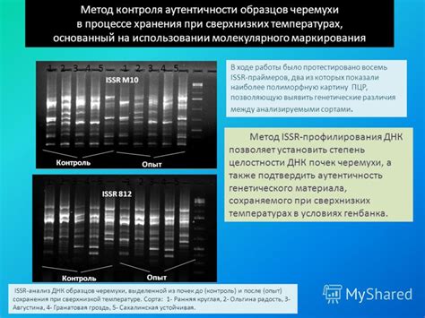 Важность правильного маркирования образцов при биопсией