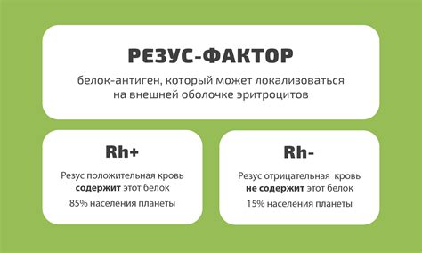 Важность правильного определения резус-фактора для планирования беременности