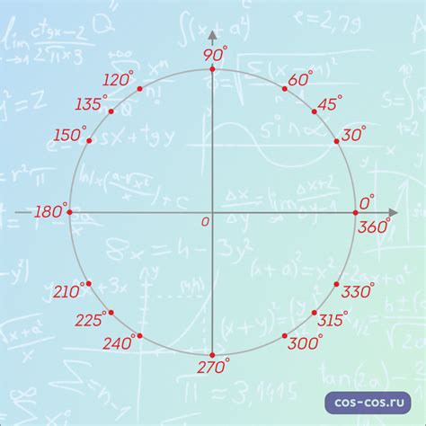 Важность тригонометрического круга в математике