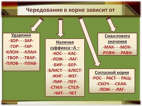 Важность ударения в раскрытии значения слова и осмыслении предложения