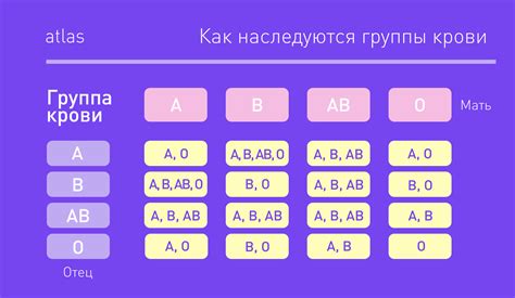 Важность указания группы крови в медицинской документации: основная информация