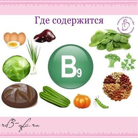 Важность фолиевой кислоты для здоровья - ключевой фактор нашего организма