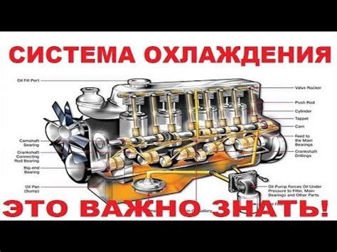 Важные аспекты, касающиеся идентификации двигателя вашего автомобиля