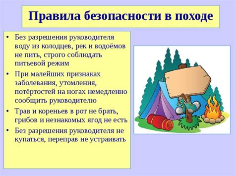 Важные аспекты безопасности при походе на поиск грибов в графской резервации