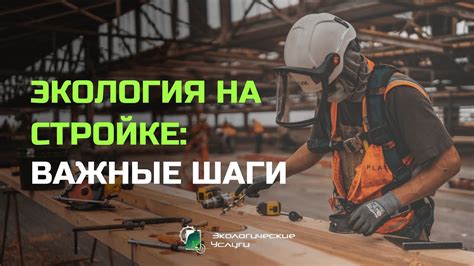 Важные документы и необходимые шаги