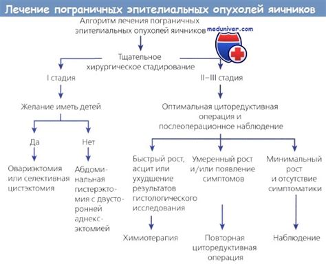 Вариант:
Какие методы рассматриваются для лечения жировых опухолей?