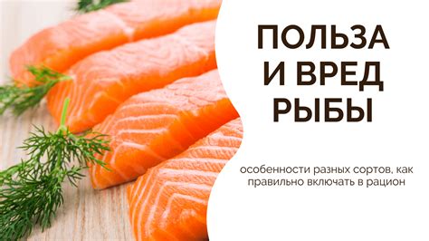 Варианты включения в рацион речной рыбы при аллергии: идеи и рецепты