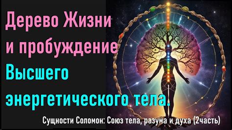 Варианты практик для эволюции высшего сентрального энергетического места человеческой сущности