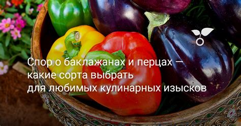 Вариант 1: Белковый арсенал: ассортимент продукции и кулинарных изысков для сытного вечера