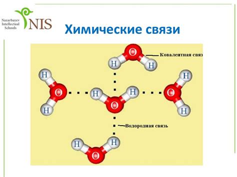 Взаимодействие водородных связей в молекулах муравьиной кислоты и их важность в биологических процессах