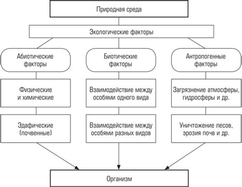 Взаимодействие генома микроорганизмов с окружающей средой: стратегии адаптации и механизмы защиты