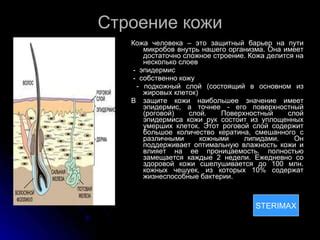 Взаимодействие кератина с различными органами и тканями человека