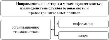 Взаимодействие с правоохранительными органами: обеспечение безопасности и сотрудничество