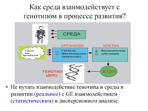 Взаимосвязь генотипа и поведения в процессе естественного выбора