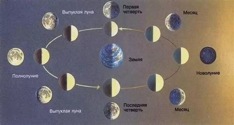 Взаимосвязь лунных фаз и их эффект на эмоциональное и физическое состояние