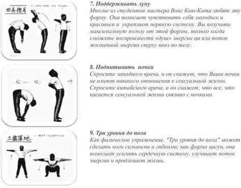 Взаимосвязь массажа спины и нервной системы: благотворное воздействие без вреда для здоровья