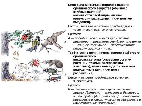 Взаимосвязь между атмосферными условиями и богатством видов в водных сообществах