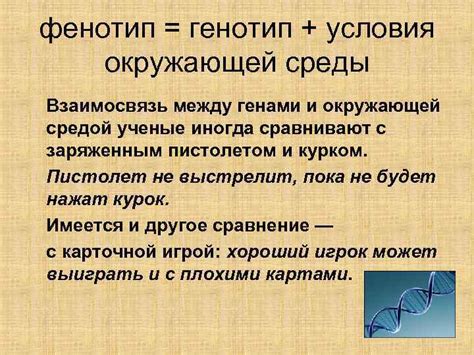 Взаимосвязь между генами и нашей внешностью: как внешний облик зависит от наследственного потенциала