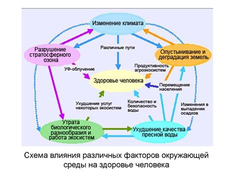 Взаимосвязь между жизнью и творчеством Диофанта: окружающая среда и влияние на его работу