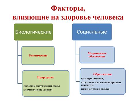 Взаимосвязь между простудой и ощущением слабости: факторы, влияющие на организм