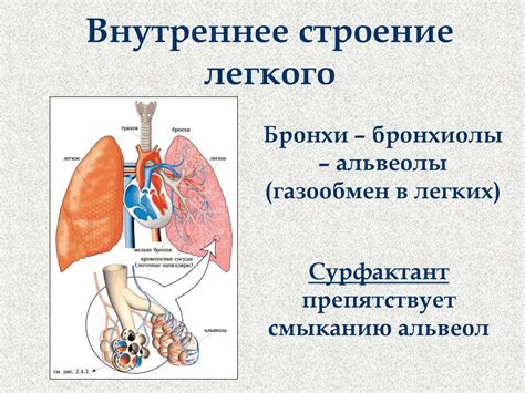 Взаимосвязь онкологического процесса в легких и возникновения отеков в нижних конечностях