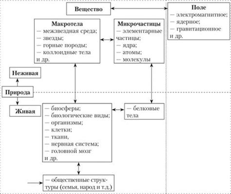 Взаимосвязь племенной многообразности и культуры в Мозамбике