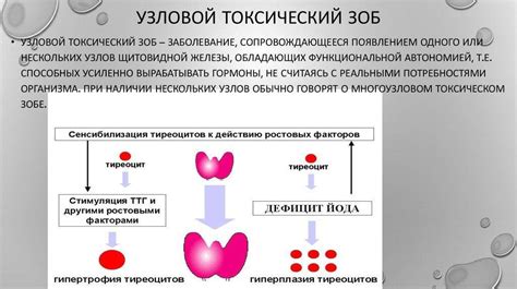 Взаимосвязь повышенного уровня ТТГ и возникновения проблем с кожей
