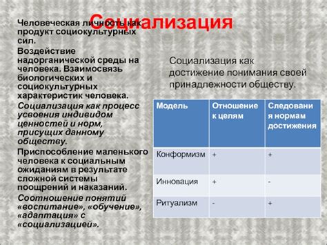 Взаимосвязь цепочки и социокультурных аспектов: воздействие окружающей среды и модных тенденций