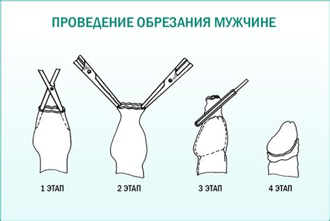 Взгляд ислама на обрезание волос для женщин