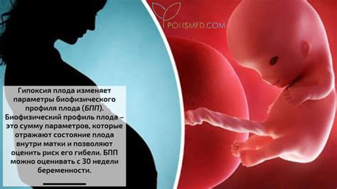 Виды гипоксии плода