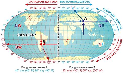 Виды и особенности линий, определяющих положение на карте: экватор, долгота и широта