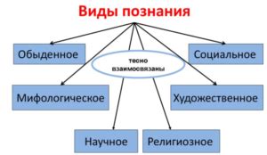 Виды познания и их особенности