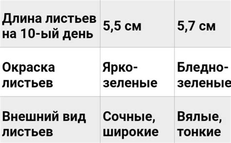 Влияние Университета Иваныча на развитие образования